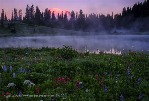 SOLD OUT! Mount Rainier National Park, Wildflowers and Landscapes, 2019 | Jack Graham Photography