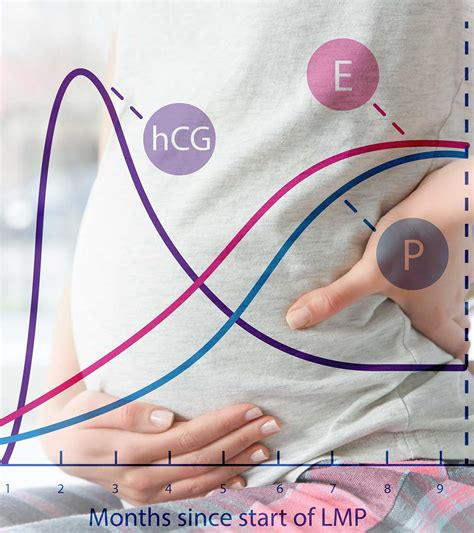 Progesterone During Pregnancy: Safety And Their Levels