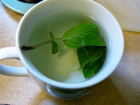 Buy Spearmint Tea: Benefits, Preparation, Side Effects