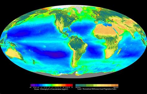 Biosphere - Simple English Wikipedia, the free encyclopedia