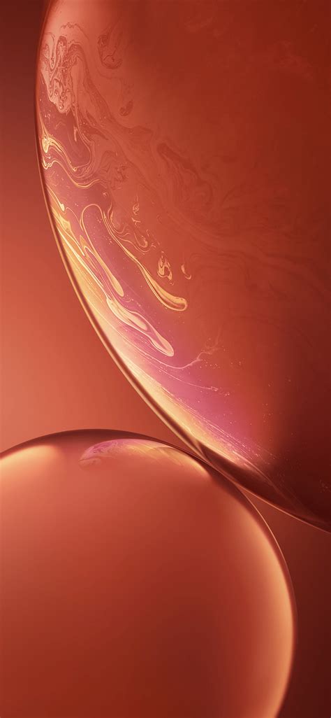 iPhone XR Coral Wallpapers - Top Free iPhone XR Coral Backgrounds ...