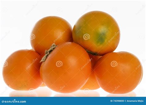 Lulo (Solanum quitoense) stock photo. Image of quitoense - 74398800