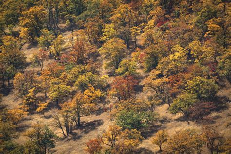 National Monuments: Cascade-Siskiyou | The Wilderness Society