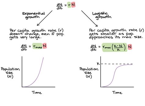 Using rcode to model exponential population growth - mistermine