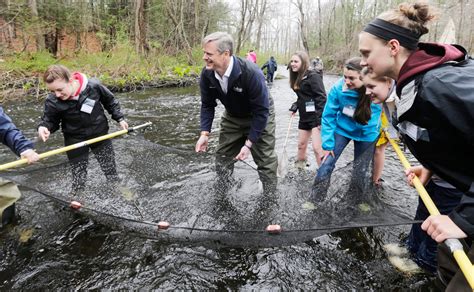 Mass. fish and wildlife officials to start trout stocking program