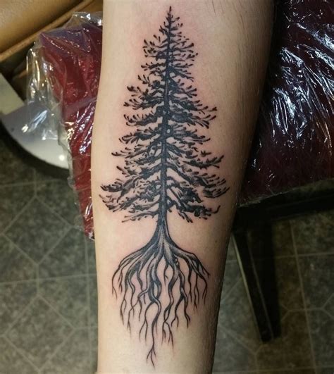 50+ Stunning Pine tree tattoo with roots ideas in 2021