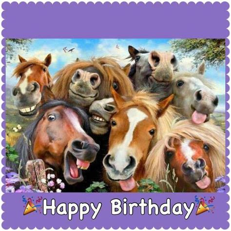 Horse Saying Happy Birthday | 17 Best ideas about Birthday Blessings on ...