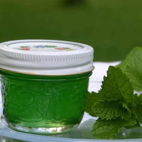 Mint Jelly Recipe | Allrecipes