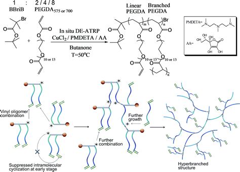 Water soluble hyperbranched polymers from controlled radical ...