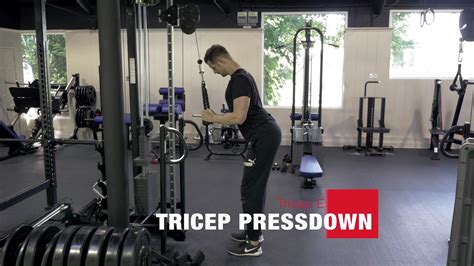 Tricep Pressdown Technique Demonstration - YouTube