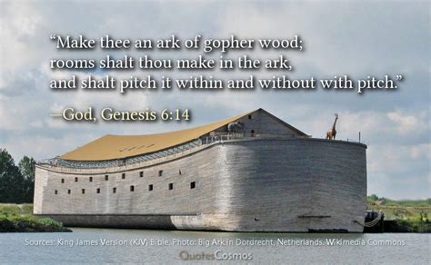 Genesis 6:14 “Make thee an ark of gopher wood”: Translation, Meaning ...