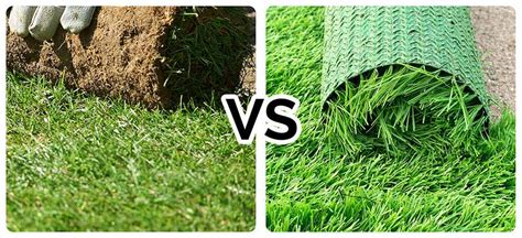 Real Grass vs. Artificial Turf! Best Choices For Your Yard? - Organize ...