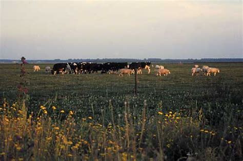 Mixed crop-livestock farming