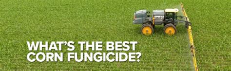 What’s the Best Corn Fungicide? – Hefty Seed Company