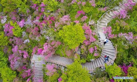 Aerial view of landscapes across China - Global Times