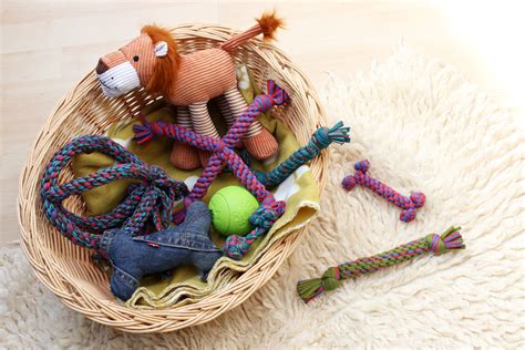 NEW! Doggie DIYs – Let’s start with making your own dog toys! – This ...