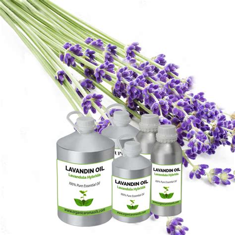 Lavandin Oil | Buy Online at Wholesale Price, 100% Pure, Manufacturer ...