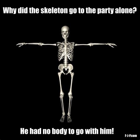 Skeleton Party Alone Pun ~ Funny Joke Pictures