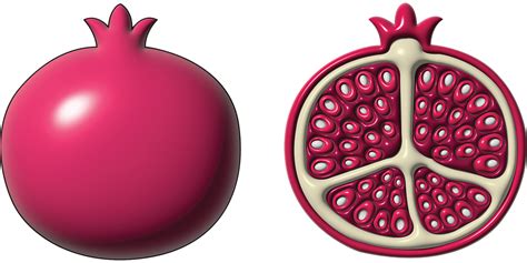 Download Pomegranate, Fruit, Sliced Pomegranate. Royalty-Free Vector Graphic - Pixabay