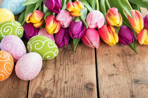 composition, eggs, Tulips, Easter - Flowers wallpapers: 3840x2560