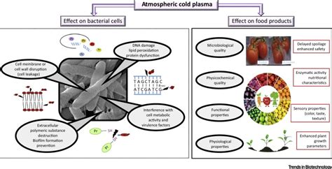 The Potential of Cold Plasma for Safe and Sustainable Food Production: Trends in Biotechnology