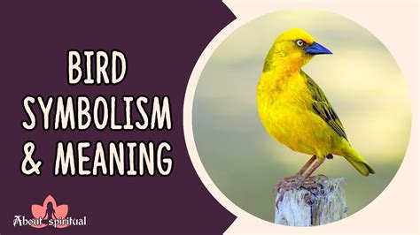 Bird Symbolism and Meaning: Spiritual Meaning of Birds - YouTube