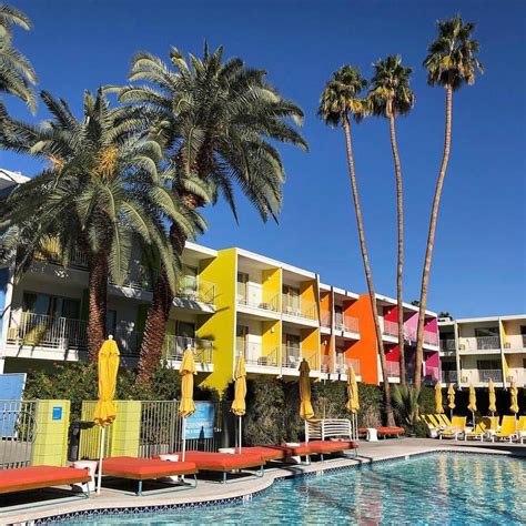 The Saguaro Palm Springs | Boutique Hotel Near Downtown | Saguaro hotel, Holiday hotel, Palm ...