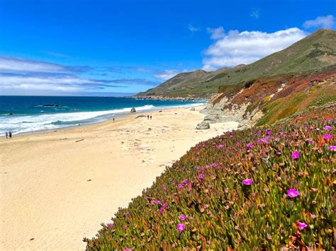 15 BEST Monterey Beaches (+ Map)! - Roadtripping California