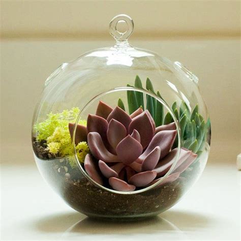 15+ Cool and Creative Terrarium Ideas