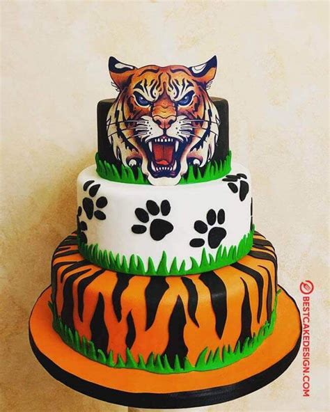 Tiger Birthday Cake Ideas