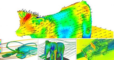 The Aerodynamics Of A Cow - All About Cow Photos