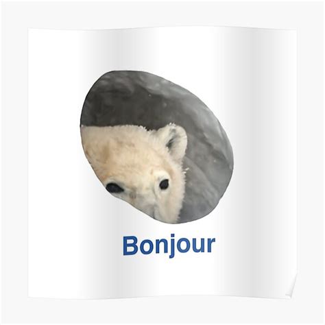 "Bonjour - Polar Bear Meme" Poster for Sale by LeenoTasseri10 | Redbubble