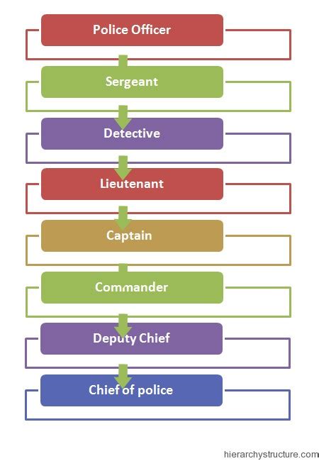 Los Angeles Police Department Hierarchy | Hierarchy Structure