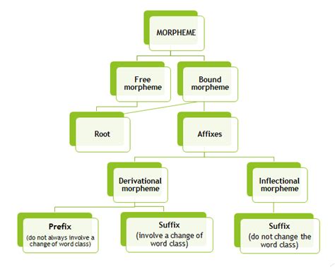 Morphology, Morphemes, and Allomorph