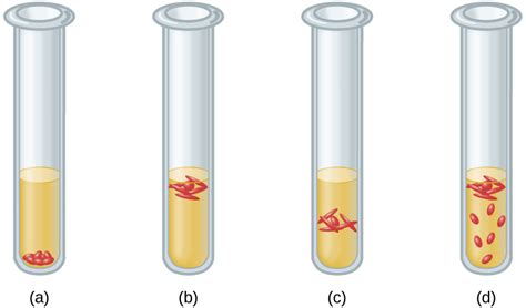 Oxygen Requirements for Microbial Growth · Microbiology