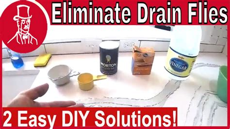 How to Get Rid of Drain Flies - YouTube