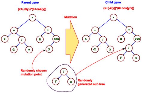 Schematic of mutation in Genetic Programming. | Download Scientific Diagram