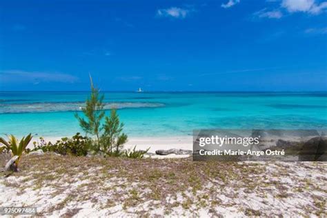 102 Crooked Island Stock Photos, High-Res Pictures, and Images - Getty ...