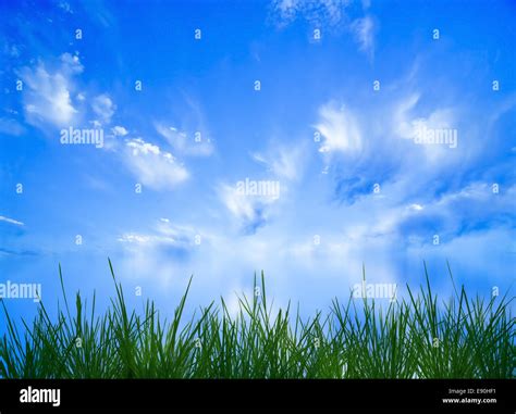 beautiful blue sky panorama Stock Photo - Alamy