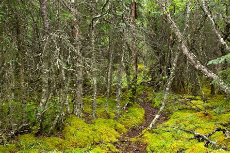 Best Techniques for Landscape Photography in Alaska