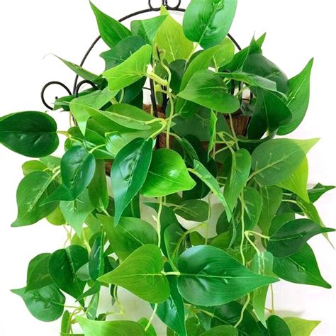 1 Pc Artificial Plants Vines Greenery Rattan Fake Hanging Plant Faux ...