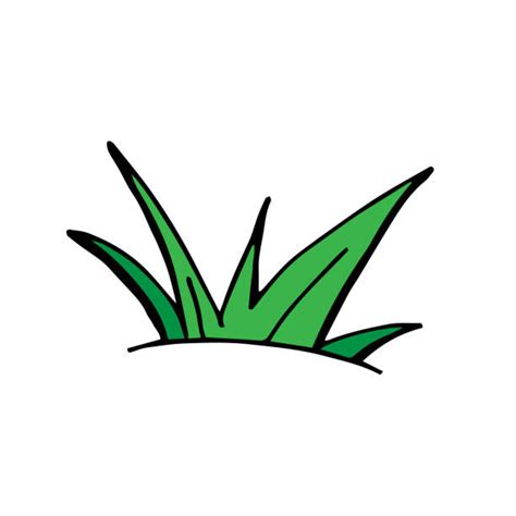 Grass Tuft Drawings Illustrations, Royalty-Free Vector Graphics & Clip ...