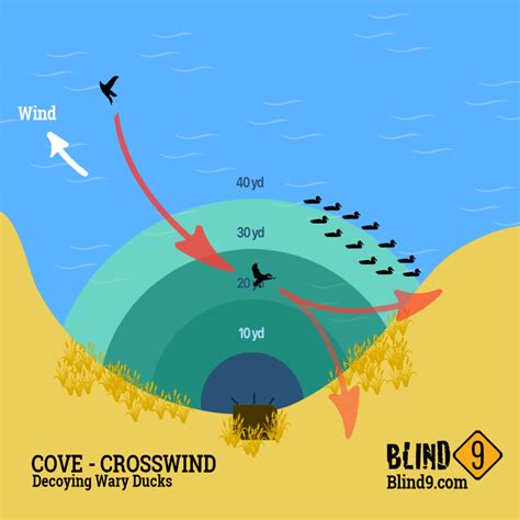 How to Decoy Wary Ducks - With Example Decoy Spreads - Blind 9