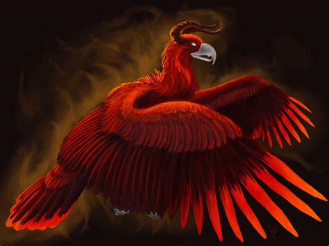 Fire Eagle by Aerophoinix on DeviantArt