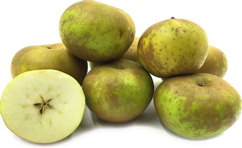 Russet Apples Information and Facts