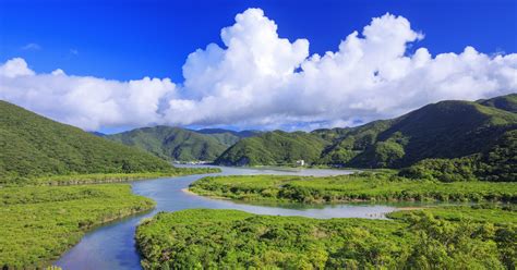 New World Natural Heritage Site Shows Unique Biodiversity | The Government of Japan - JapanGov