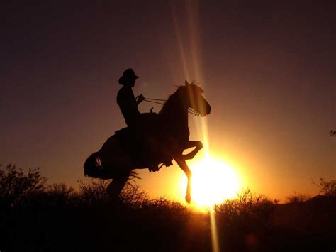 Silhouette of man riding horse, sunset, cowboys, horse, silhouette HD ...