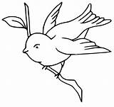 Easy Bluebird sketch template