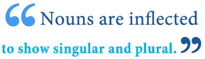 What is Inflection? Definition, Examples of English Inflection - Writing Explained