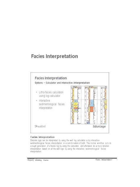 Facies Interpretation | PDF | Icon (Computing) | Computing